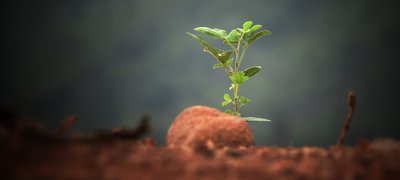 Advantages of Franchising