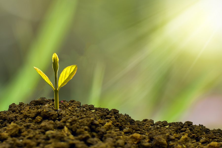 Where Franchisees Actually Come From: Choosing and Measuring Your Recruitment Channels